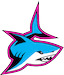 miami sharks