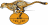 Free State Cheetahs
