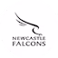 newcastle