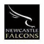 newcastle