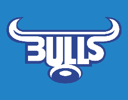 bulls 14